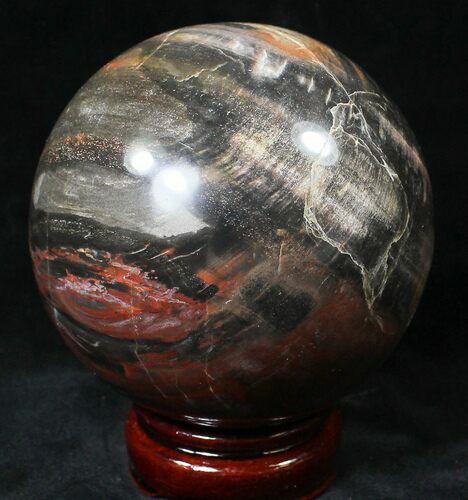 Colorful Petrified Wood Sphere #20604